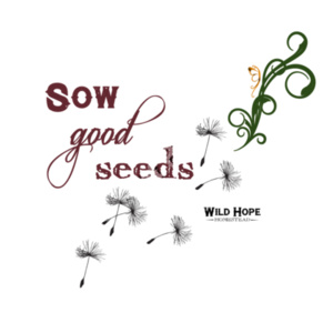 KIDS T-SHIRT - Sow Good Seeds Design