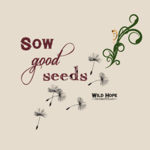 WOMENS T-SHIRT - Sow Good Seeds Design