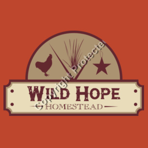 WOMENS T-SHIRT - Wild Hope Logo Design